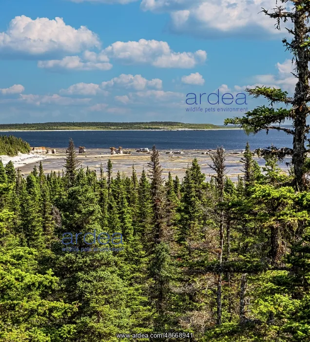 : Quebec, Havre-Saint-Pierre, Canada. Archipelago National : Quebec, Havre-Saint-Pierre, Canada. Archipelago National