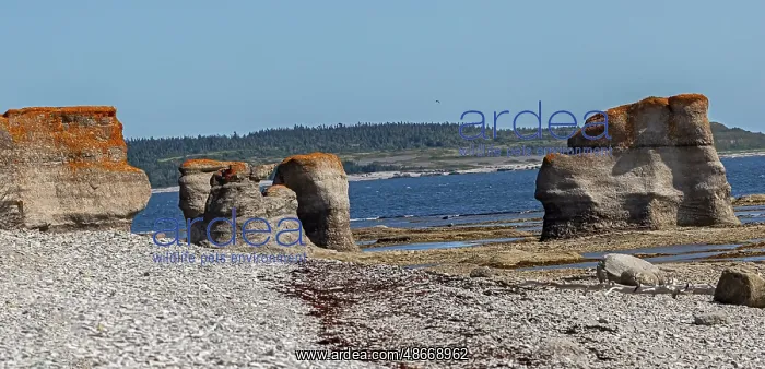 : Quebec, Havre-Saint-Pierre, Canada. Archipelago National : Quebec, Havre-Saint-Pierre, Canada. Archipelago National