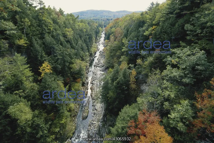 : Quechee Gorge, Vermont : Quechee Gorge, Vermont