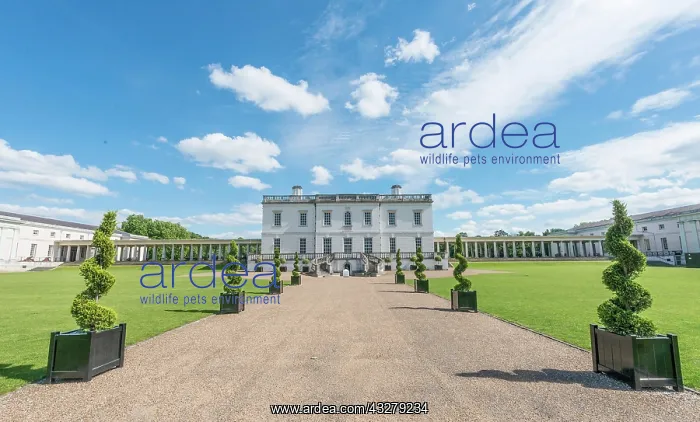  : The Queens House, Greenwich, London, England, Great