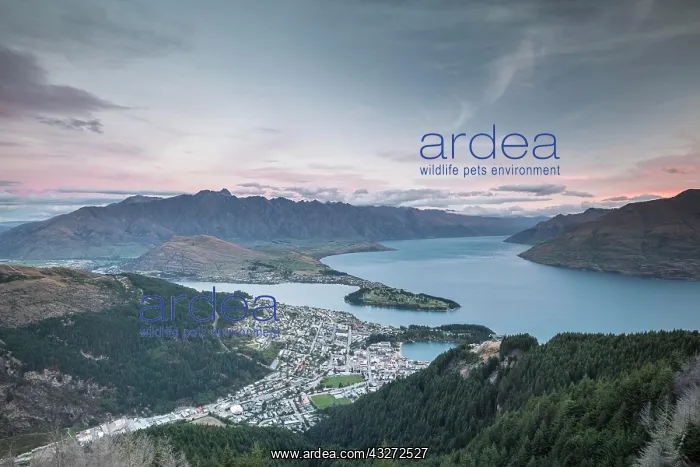: Queenstown and Lake Wakatipu, behind mountain range : Queenstown and Lake Wakatipu, behind mountain range