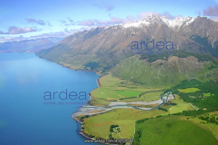: Queenstown, New Zealand. A helicopter ride : Queenstown, New Zealand. A helicopter ride