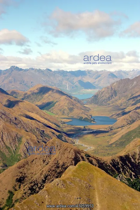 : Queenstown, New Zealand. A helicopter ride : Queenstown, New Zealand. A helicopter ride