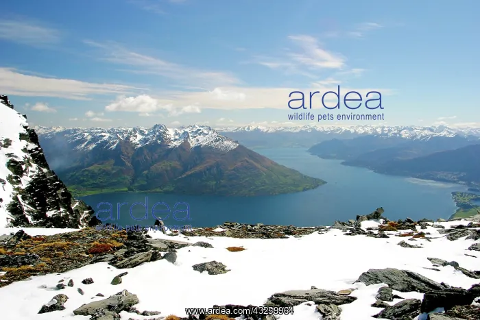 : Queenstown, New Zealand. A helicopter ride : Queenstown, New Zealand. A helicopter ride
