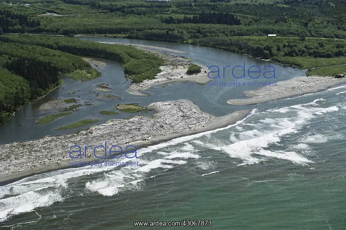  : Queets River Delta