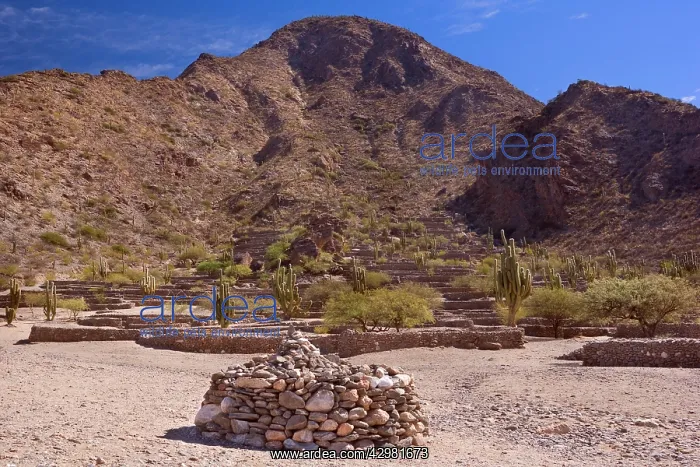  : Quilmes Ruins - remnants of prehispanic Ruinas