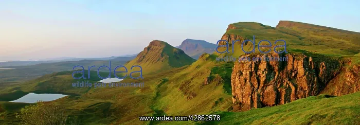 : The Quiraing landscape - lake and rolling velvet : The Quiraing landscape - lake and rolling velvet