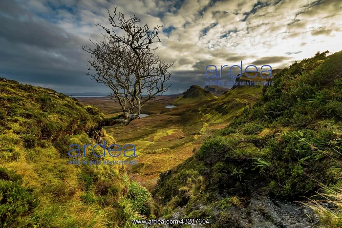 : Quiraing massif with dramatic clouds, Portree, Isle : Quiraing massif with dramatic clouds, Portree, Isle