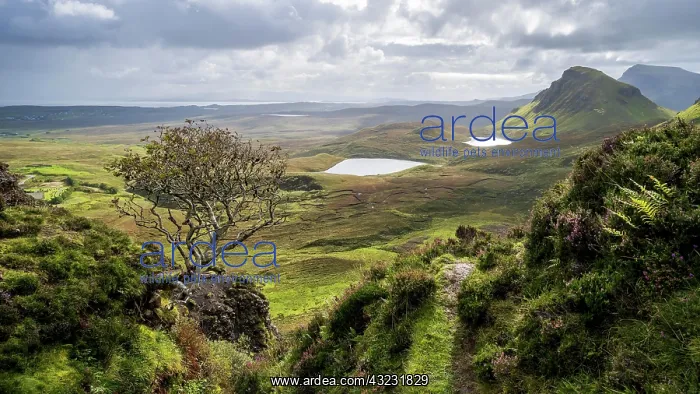 : Quiraing Rock Landscape, Trotternish Ridge, Highlands : Quiraing Rock Landscape, Trotternish Ridge, Highlands