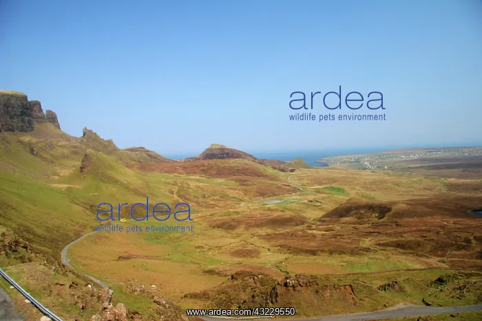 : Quiraing, Scotland. Overlooking the oceans : Quiraing, Scotland. Overlooking the oceans