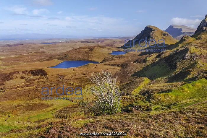 : Quiraing - view from the mountain of Quiraing over : Quiraing - view from the mountain of Quiraing over