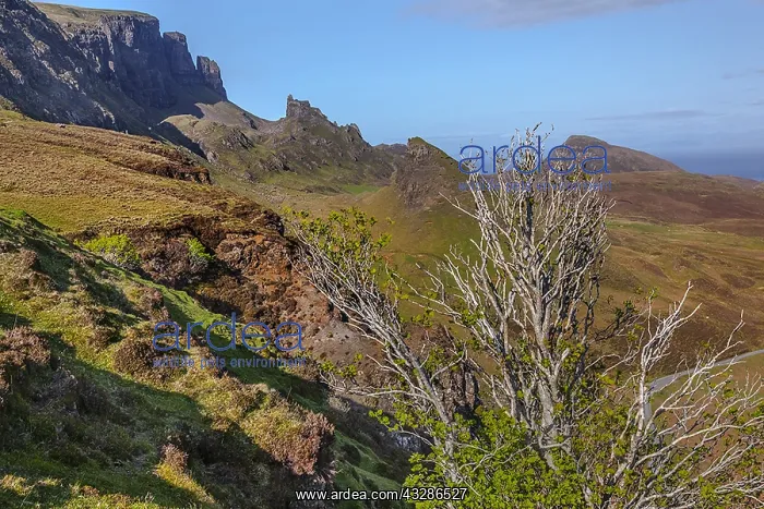 : Quiraing - view from the mountain of Quiraing in : Quiraing - view from the mountain of Quiraing in