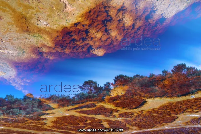 : R&, xdbe0;Tinto - Red River, Sierra Morena, Gulf : R&, xdbe0;Tinto - Red River, Sierra Morena, Gulf