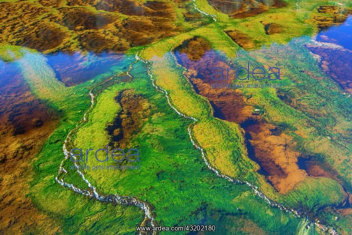 : R&, xdbe0;Tinto - Red River, Sierra Morena, Gulf : R&, xdbe0;Tinto - Red River, Sierra Morena, Gulf