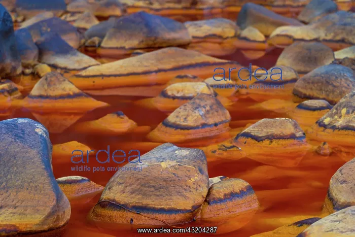 : R&, xdbe0;Tinto - Red River, Sierra Morena, Gulf : R&, xdbe0;Tinto - Red River, Sierra Morena, Gulf