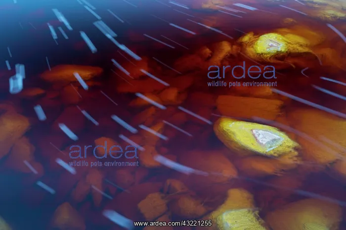 : R&, xdbe0;Tinto - Red River, Sierra Morena, Gulf : R&, xdbe0;Tinto - Red River, Sierra Morena, Gulf