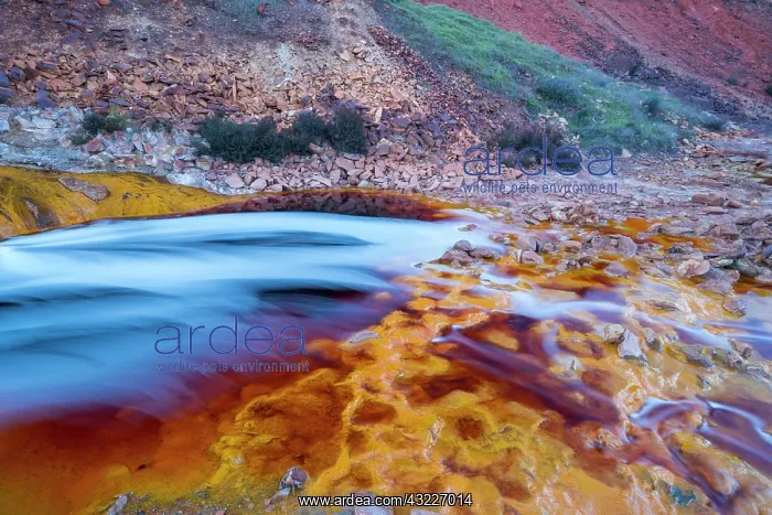 : R&, xdbe0;Tinto - Red River, Sierra Morena, Gulf : R&, xdbe0;Tinto - Red River, Sierra Morena, Gulf