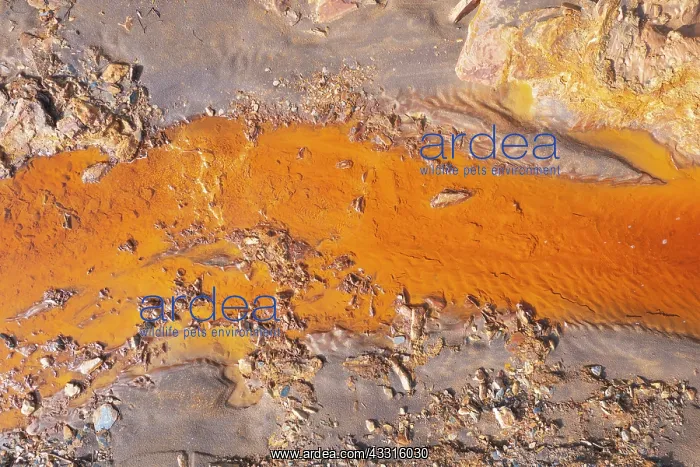 : The RA-o Tinto (Red river) shortly after its source : The RA-o Tinto (Red river) shortly after its source