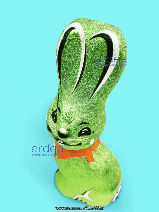  : Rabbit - foil covererd chocolate easter rabbit