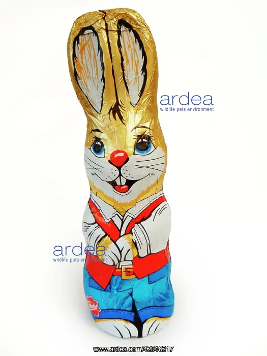  : Rabbit - foil covererd chocolate easter rabbit