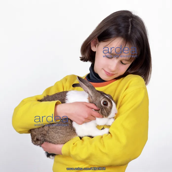  : RABBIT - being held by child
