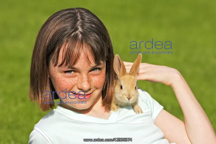  : Rabbit - being held by girl
