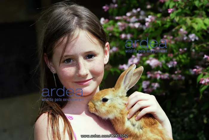  : Rabbit - being held by girl