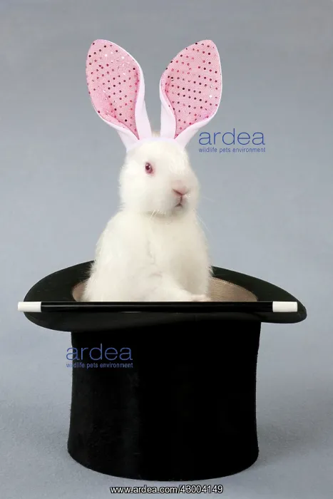 : RABBIT - Mini ivory satin in top hat with fake bunny ears : RABBIT - Mini ivory satin in top hat with fake bunny ears