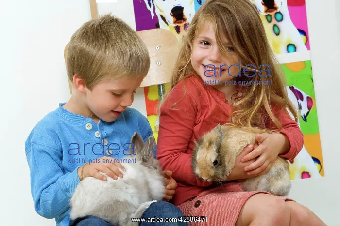  : Rabbits - being cuddled by two young children