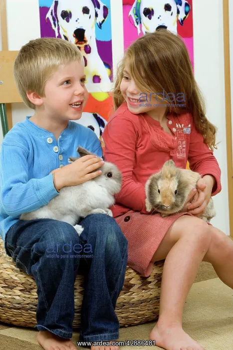 : Rabbits - being cuddled by two young children