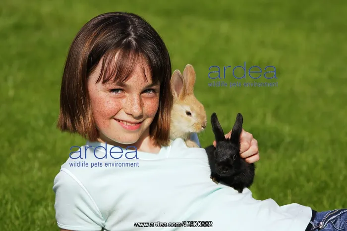  : Rabbits - being held by girl