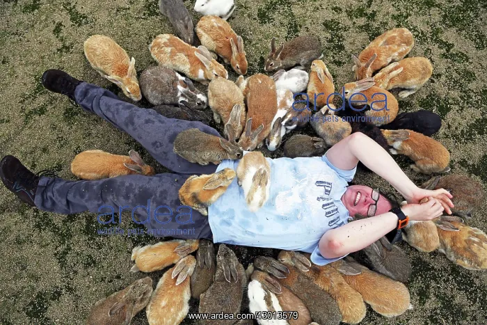 : Rabbits of Okunoshima : Rabbits of Okunoshima