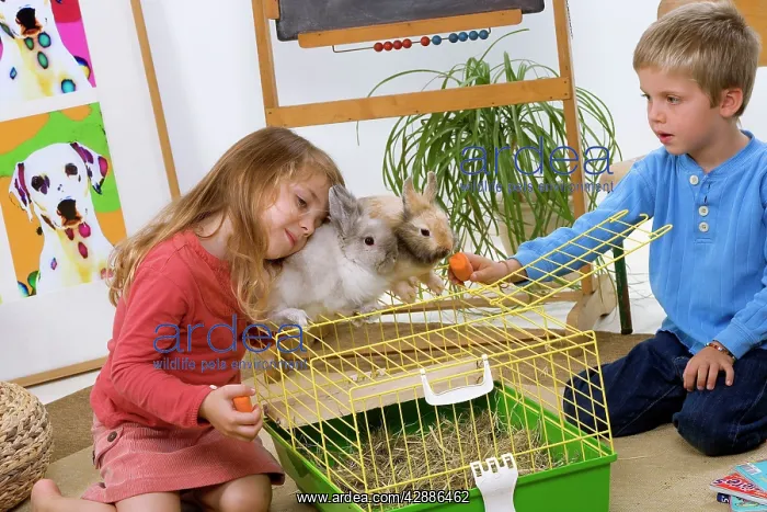 : Rabbits - two sitting ontop of cage being fed carrots : Rabbits - two sitting ontop of cage being fed carrots