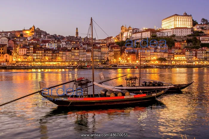 : Rabelo boats on the Douro River, Porto, Portugal. (Editorial : Rabelo boats on the Douro River, Porto, Portugal. (Editorial