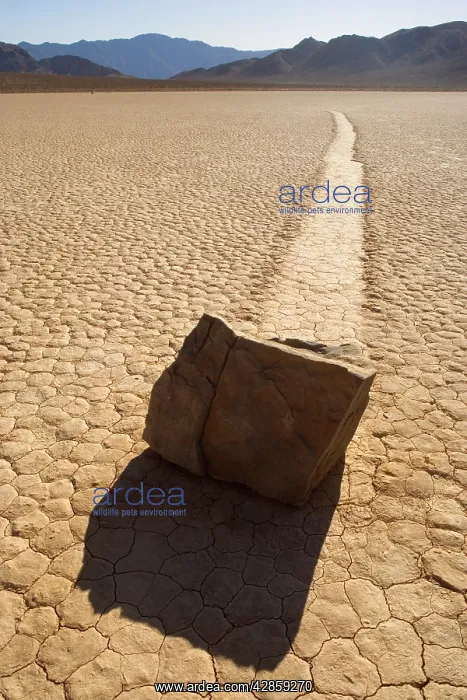: The Racetrack - mysterious sliding rocks of the : The Racetrack - mysterious sliding rocks of the