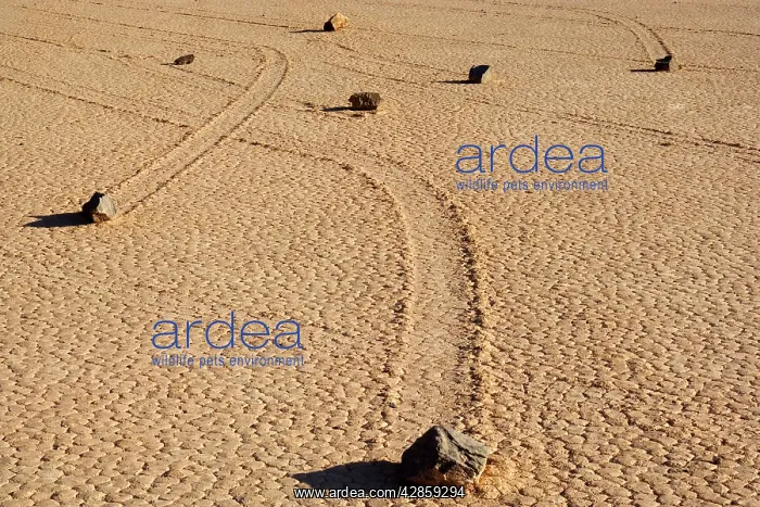  : The Racetrack - mysterious sliding rocks of the