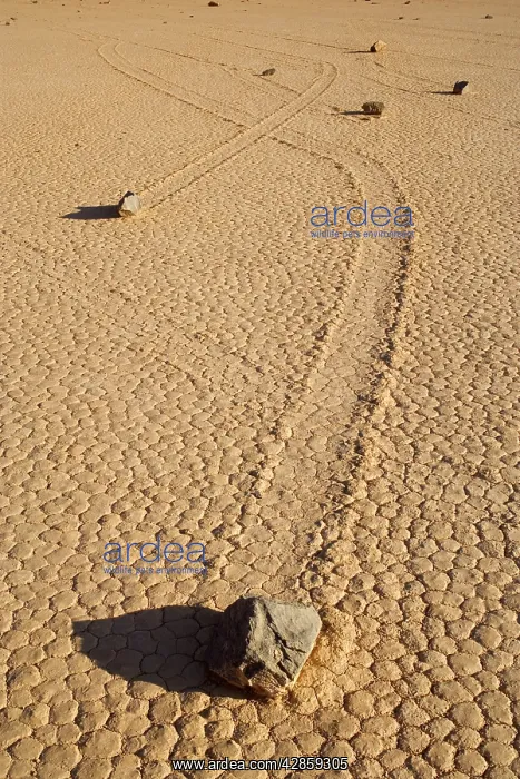  : The Racetrack - mysterious sliding rocks of the