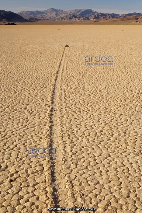 : The Racetrack - mysterious sliding rocks of the : The Racetrack - mysterious sliding rocks of the
