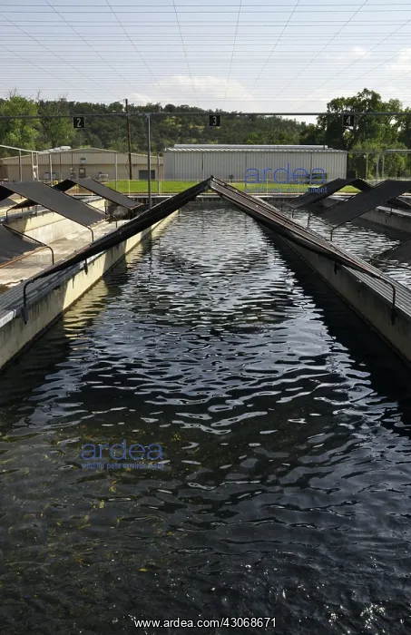 : Raceways at fish hatchery : Raceways at fish hatchery