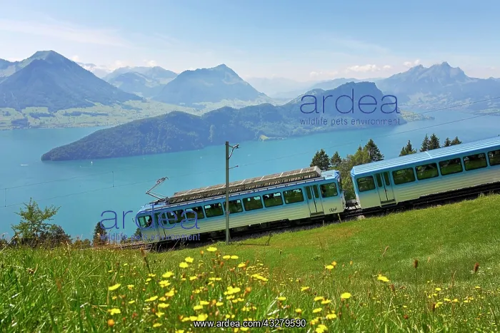 : Rack railway to the Rigi, behind Lake Lucerne with : Rack railway to the Rigi, behind Lake Lucerne with