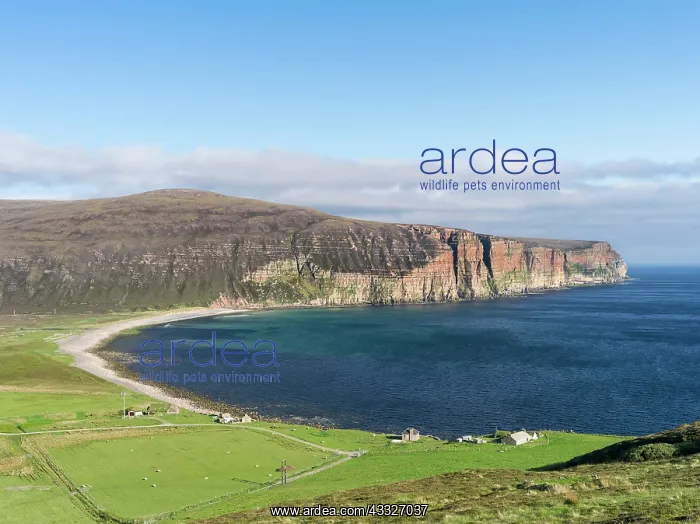 : Rackwick Bay with settlement, island of : Rackwick Bay with settlement, island of