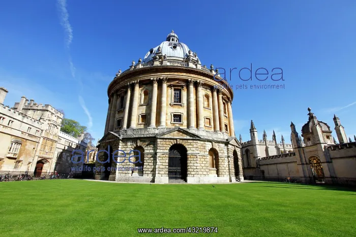 : Radcliffe Camera, library and student reading room : Radcliffe Camera, library and student reading room