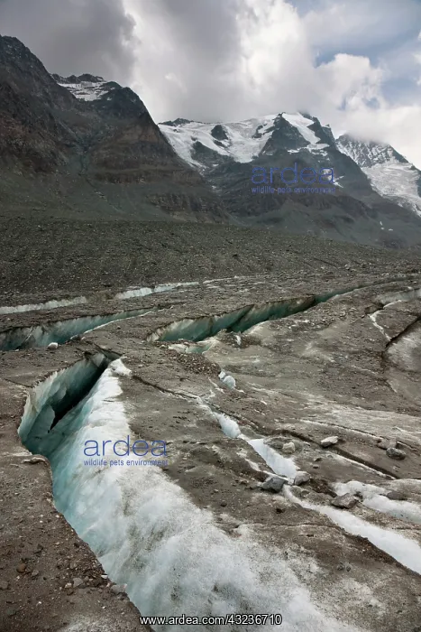: Radial crevasses of the glacier Pasterze : Radial crevasses of the glacier Pasterze