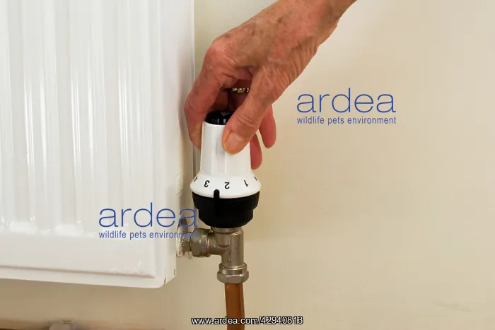 : Radiator - reducing temperature setting on radiator : Radiator - reducing temperature setting on radiator