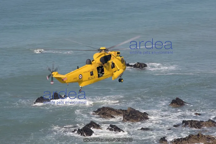 : RAF helicopter air sea rescue - hovering over rocks : RAF helicopter air sea rescue - hovering over rocks