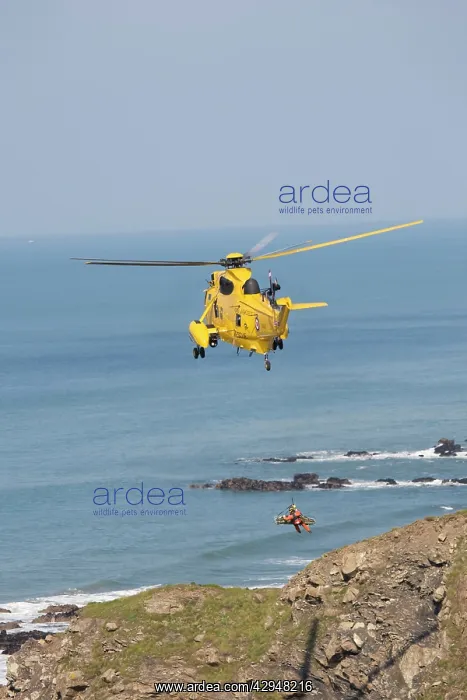 : RAF helicopter air sea rescue - hovering over rocks : RAF helicopter air sea rescue - hovering over rocks