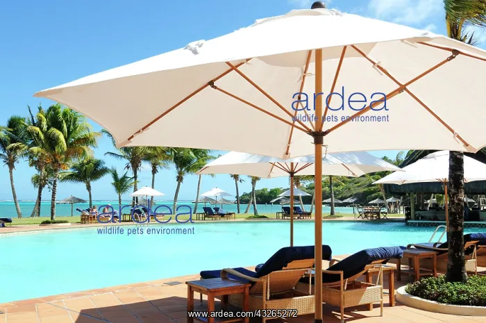  : Raffles Resort, Canouan Island, Saint Vincent, Caribbean