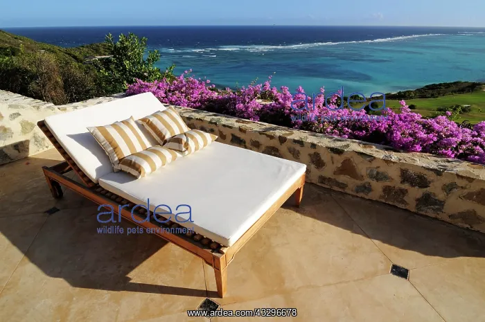 : Raffles Resort, Canouan Island, Saint Vincent, Caribbean : Raffles Resort, Canouan Island, Saint Vincent, Caribbean