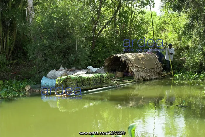 : Raft used for transporting produce to town on river : Raft used for transporting produce to town on river