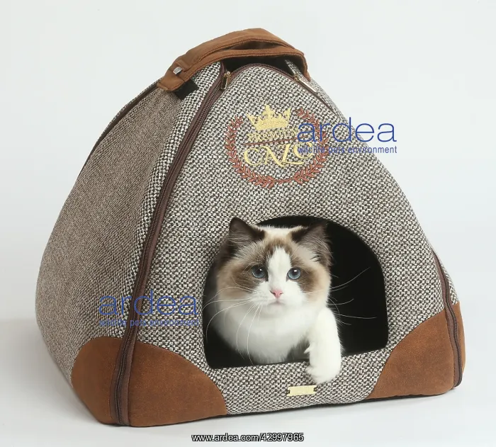 : Ragdoll cat in a carrying box : Ragdoll cat in a carrying box